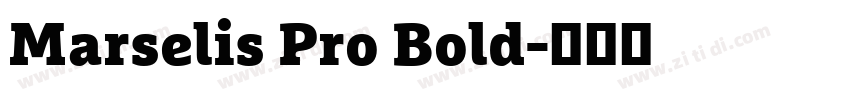 Marselis Pro Bold字体转换